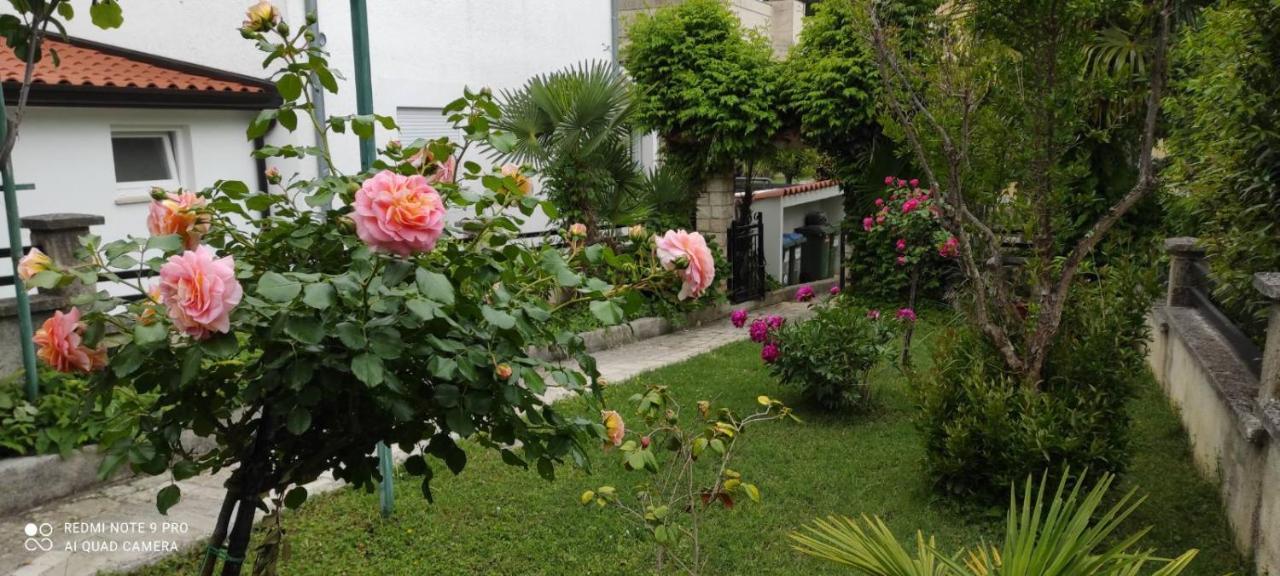 Apartment Jozefina Poreč Zewnętrze zdjęcie