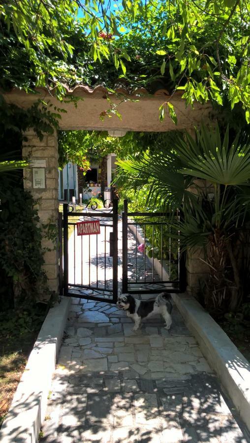 Apartment Jozefina Poreč Zewnętrze zdjęcie